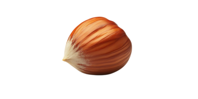 Hazelnut Isolated on Transparent Background, Brown Nut Shell, Single Nut, Food Photography, Macro Photo, Close-Up, Delicious Hazelnut, Nut Shell, Natural Food, Healthy Snack, Vegetarian Food, Nut Image, Hazelnut Background, Transparent Background. png