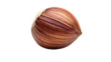 A Single Hazelnut with a Transparent Background, Displaying Its Rich Brown Shell png