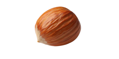 A Single Hazelnut with a Transparent Background, Isolated on a Black Background. png