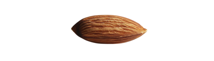 A Single Almond on a Transparent Background - Isolated Nut with Brown Lines and Detailed Texture png