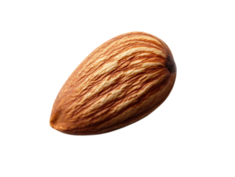 Single Almond Nut Isolated on Transparent Background, Perfect for Graphic Design and Food Photography Projects png