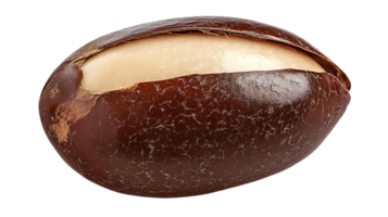 A Close-Up View of a Brown Argan Nut, Cracked Open to Reveal Its Creamy White Kernel, Isolated on a Transparent Background png