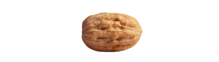 A Single Walnut with a Transparent Background, Isolated and Ready for Use in Design Projects png