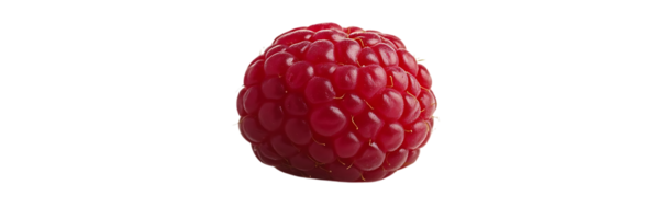 A Single Raspberry Isolated on a Transparent Background, Perfect for Digital Design Projects png