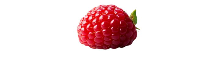 A Single Raspberry with a Transparent Background, Ready to be Used in Designs and Projects png