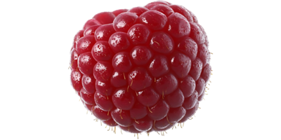 A Single Raspberry with a Transparent Background, Perfectly Ripe and Ready to Eat, with a Delicate Texture and Juicy Red Color png