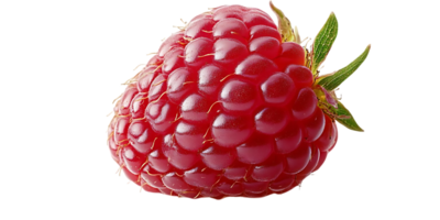 A Single Raspberry with a Transparent Background, Perfect for Design Projects png