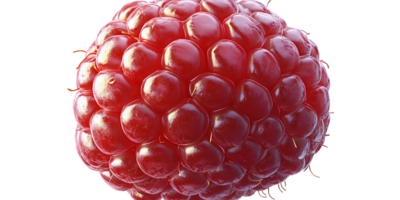 A Single Raspberry with a Transparent Background, Showing its Detailed Texture png