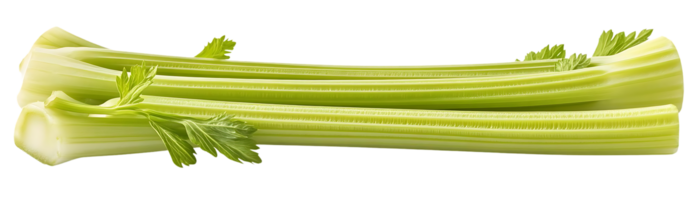 Fresh Celery Stalks with Transparent Background - A Bunch of Green Stalks for a Healthy Snack png