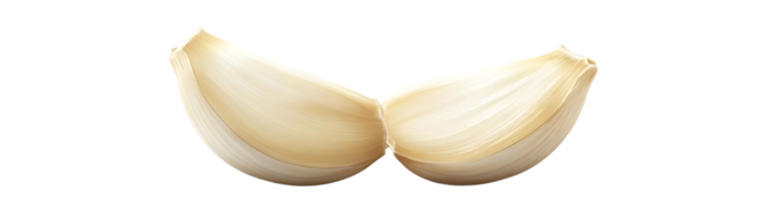 Garlic Cloves Isolated on a Transparent Background, Ready to Add Flavor to Your Dishes png