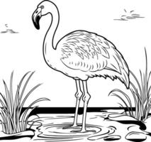 Flamingo in the water black and white element illustration vector