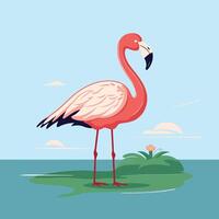 Flamingo on the island illustration in flat style vector