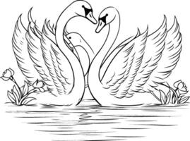 Two swans in love Black and white element illustration for coloring book vector