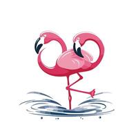Flamingo in water illustration isolated on white background vector