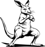 Kangaroo illustration isolated on a white background vector