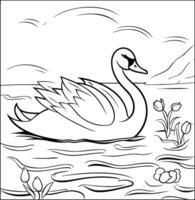 Swan swimming on the lake black and white illustration vector