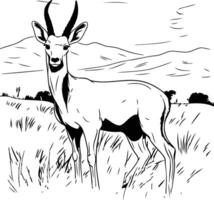 Black and white sketch of antelope in the field illustration vector