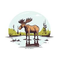 Moose in the pond illustration of a wild animal vector