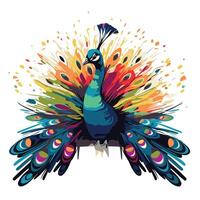 Peacock with colorful splashes on white background illustration vector