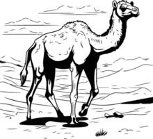 Camel in the desert illustration in black and white colors vector