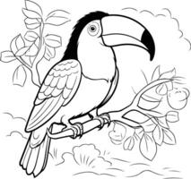 Coloring book for children Toucan sitting on a branch with flowers vector