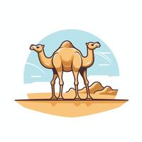 Camel in desert illustration in flat style on white background vector