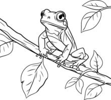 Frog on a branch sketch for your design illustration vector