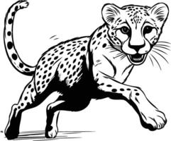 Cheetah running on a white background illustration for your design vector