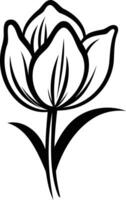 Simple line drawing of a single tulip flower vector