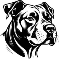 A striking black and white illustration of a pit bull's head, perfect for tattoo designs, posters, and t-shirt prints vector