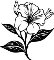 Black and white line drawing illustration of a hibiscus flower with leaves vector
