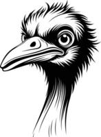 A striking black and white illustration of an ostrich's head, capturing its unique features in intricate detail vector