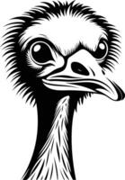 A bold, black and white illustration of an ostrich head, capturing its distinctive features in a striking graphic style vector