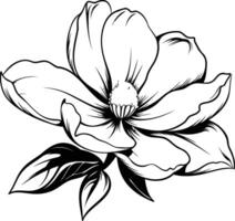 Elegant black and white line art illustration of a single magnolia blossom vector