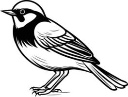 A black and white line drawing of a small bird, perfect for use in a variety of creative projects, including coloring books, book illustrations, and nature-themed designs vector