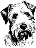 A striking black and white illustration of a terrier dog, showcasing its distinctive facial features and playful expression vector