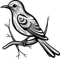 Black and white illustration of a bird perched on a branch, perfect for tattoo designs, branding, and other creative projects vector