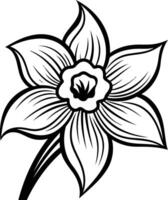 A beautiful line drawing of a daffodil flower, perfect for crafting, design projects, or adding a touch of nature to your work vector