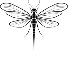 Simple line art silhouette of a dragonfly with delicate wings vector