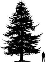 Black and white silhouette of a tall, majestic evergreen tree, perfect for creating a sense of nature and serenity in your designs vector