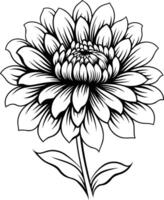 Elegant black and white line art illustration of a single dahlia flower with detailed petals and stem vector