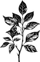 Black and white illustration of a stylized leaf branch, perfect for adding a touch of nature to your designs vector