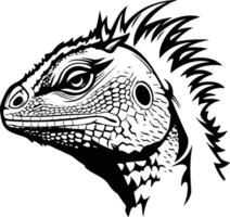 A detailed line drawing of a lizard's head, rendered in black and white vector