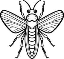 A detailed line art illustration of a moth, perfect for tattoo designs, nature inspired artwork, or insect themed projects vector