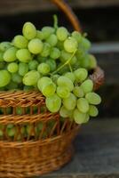 Bunch of white grapes in a basket on a wooden background. photo