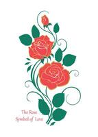 Realistic red and golden color rose with green leaves with typography quotation, The Rose, Symbol of love vector