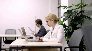 Business woman busy working on laptop computer at office. Sales representative, tech and telemarketing with portrait for communication, networking and negotiation video