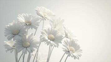 White Daisies - Simple and Pure Floral Photography photo