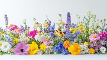 Colorful Wildflowers Still Life - Dynamic and Harmonious Photography photo
