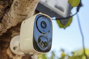 Security IP CCTV camera using solar energy install on the tree for home security system photo